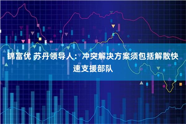 锦富优 苏丹领导人：冲突解决方案须包括解散快速支援部队