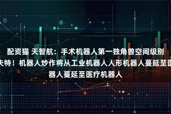 配资猫 天智航：手术机器人第一独角兽空间级别不啻于埃夫特！机器人炒作将从工业机器人人形机器人蔓延至医疗机器人