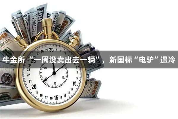 牛金所 “一周没卖出去一辆”，新国标“电驴”遇冷