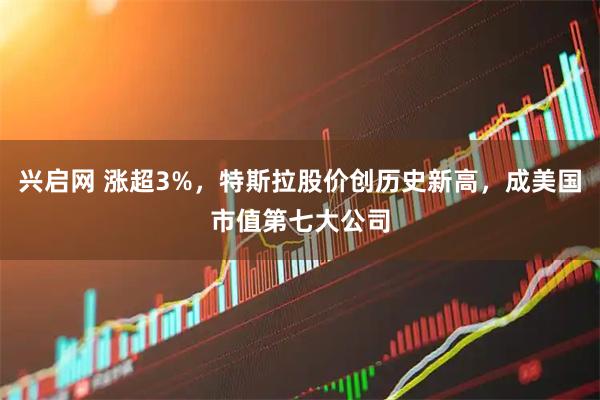 兴启网 涨超3%，特斯拉股价创历史新高，成美国市值第七大公司